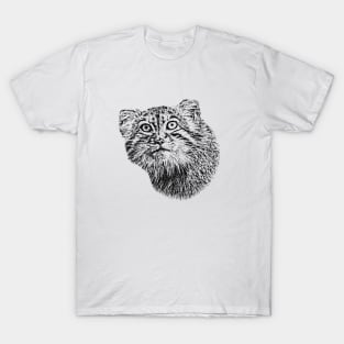 Pallas's cat-manul T-Shirt